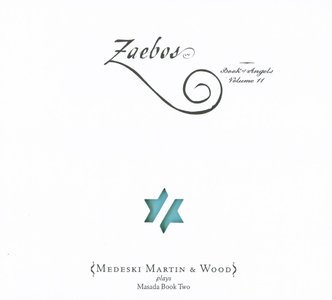 MEDESKI MARTIN AND WOOD - Zaebos: Book of Angels, Volume 11 cover 