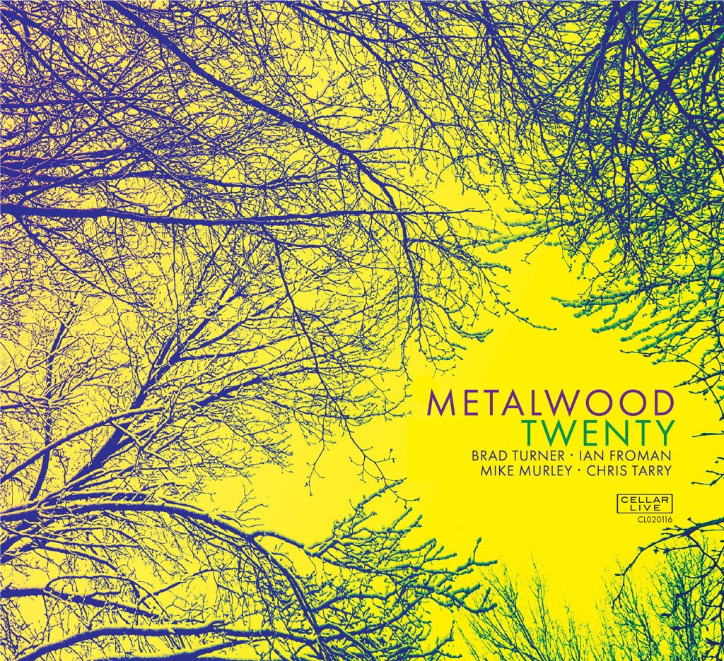 METALWOOD - Twenty cover 