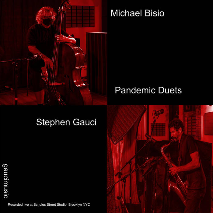 MICHAEL BISIO - Michael Bisio / Stephen Gauci : Pandemic Duets cover 