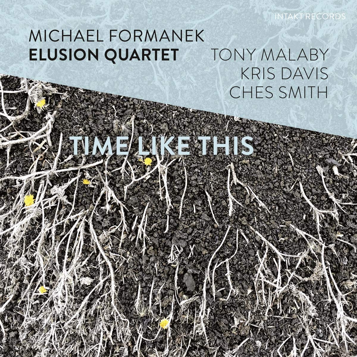 MICHAEL FORMANEK - Michael Formanek Elusion Quartet : Time Like This cover 