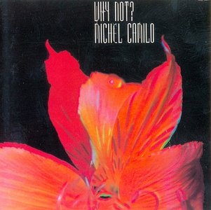 MICHEL CAMILO - Why Not? cover 