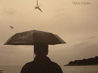 MIHÁLY DRESCH - Ritka Madár /Rare Bird cover 