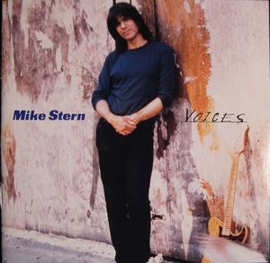 MIKE STERN - Voices cover 