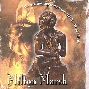 MILTON MARSH - We Are Not Separate From Spirit We Are In It. cover 