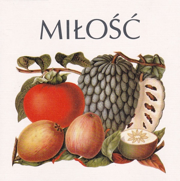 MIŁOŚĆ - Miłość cover 