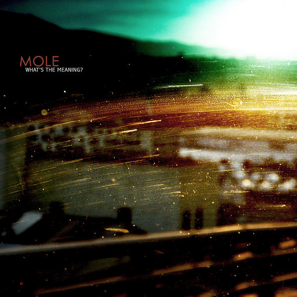 MOLE - What's The Meaning? cover 