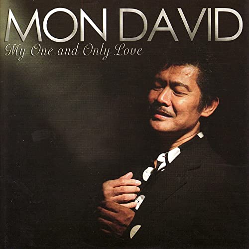 MON DAVID - My One And Only Love cover 