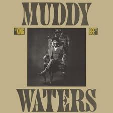 MUDDY WATERS - King Bee cover 
