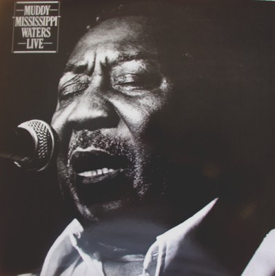 MUDDY WATERS - Muddy 