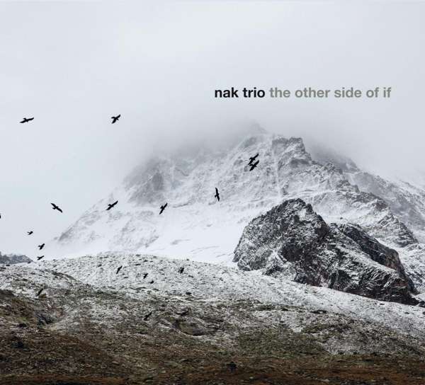 NAK TRIO - The Other Side Of If cover 