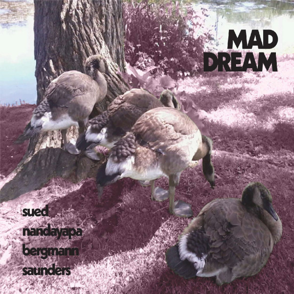 NATALIO SUED - Sued, Nandayapa, Bergmann, Saunders : Mad Dream cover 