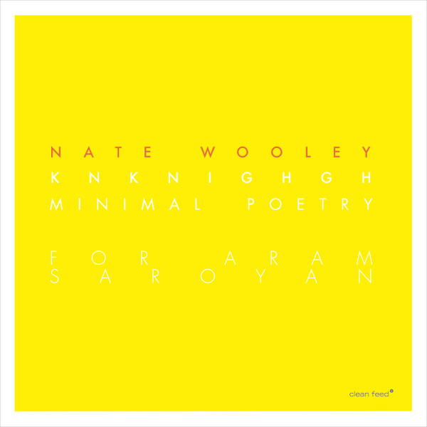 NATE WOOLEY - Knknighgh (Minimal Poetry For Aram Saroyan) cover 