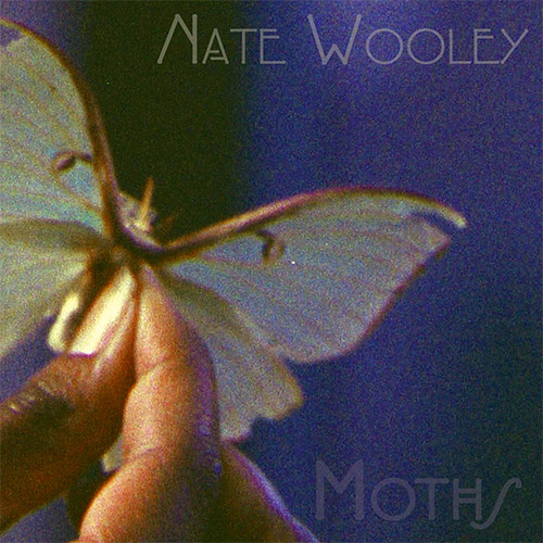 NATE WOOLEY - Moths cover 