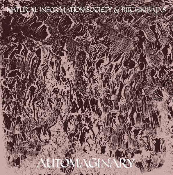 NATURAL INFORMATION SOCIETY (JOSHUA ABRAMS NATURAL INFORMATION SOCIETY) - Natural Information Society & Bitchin Bajas : Automaginary cover 