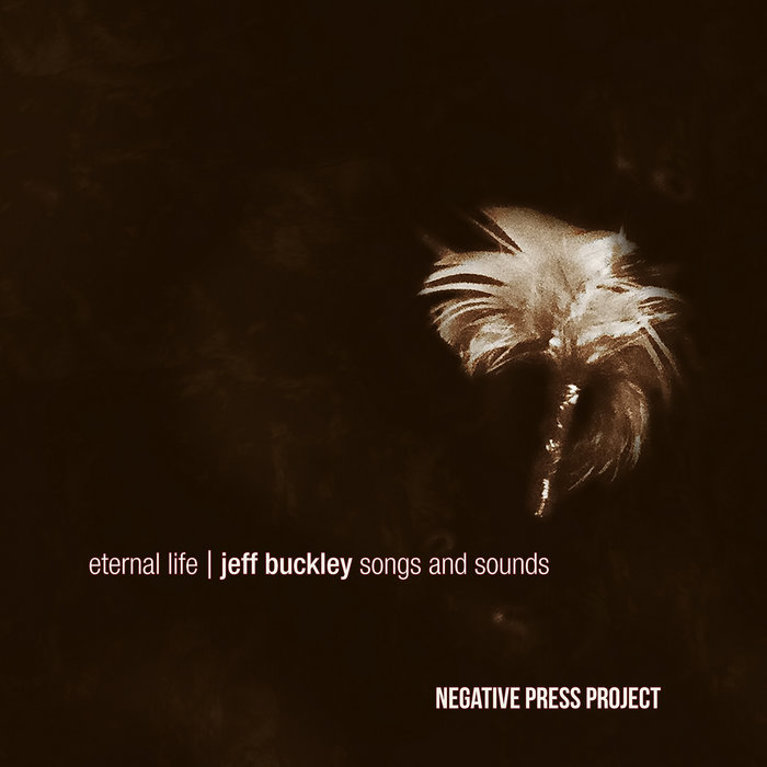 NEGATIVE PRESS PROJECT - eternal life | jeff buckley songs and sounds cover 