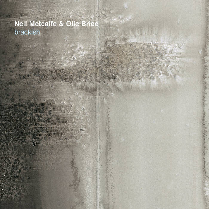 NEIL METCALFE - Neil Metcalfe and Olie Brice : Brackish cover 
