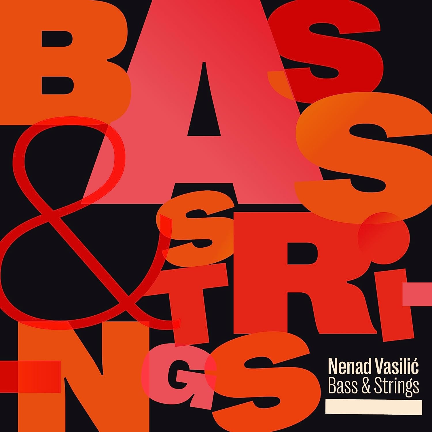 NENAD VASILIĆ - Bass & Strings cover 