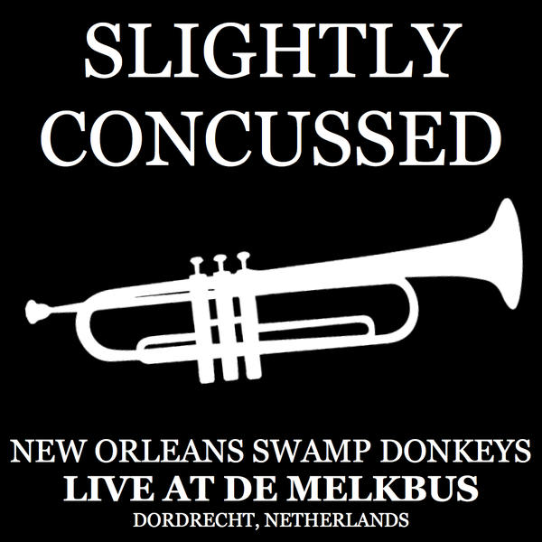 NEW ORLEANS SWAMP DONKEYS - Slightly Concussed cover 