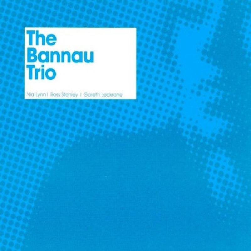 NIA LYNN - The Bannau Trio (2008) cover 