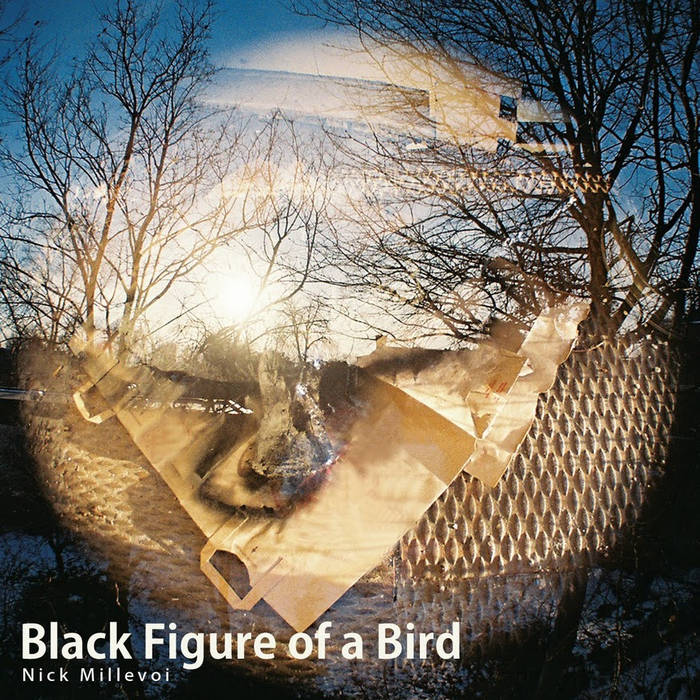 NICK MILLEVOI - Black Figure of a Bird cover 