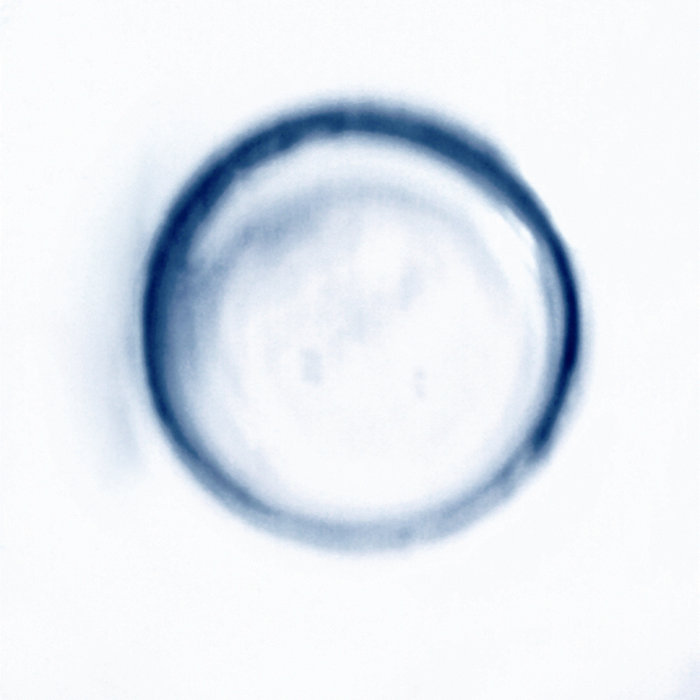 NICOLÁS VERA - Nicolás Vera Trío : Circular cover 