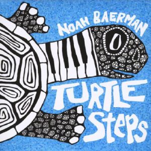 NOAH BAERMAN - Turtle Steps cover 