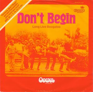 OCEAN ORCHESTRA - Don't Begin cover 
