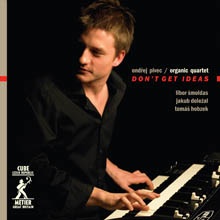 ONDŘEJ PIVEC - Don't Get Ideas cover 