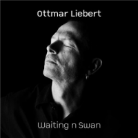 OTTMAR LIEBERT - Waiting n Swan cover 