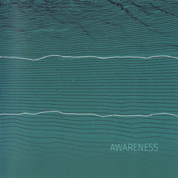 PALLE MIKKELBORG - Awareness cover 