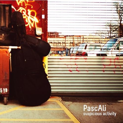 PASCAL NIGGENKEMPER - PascAli : Suspicious Activity cover 