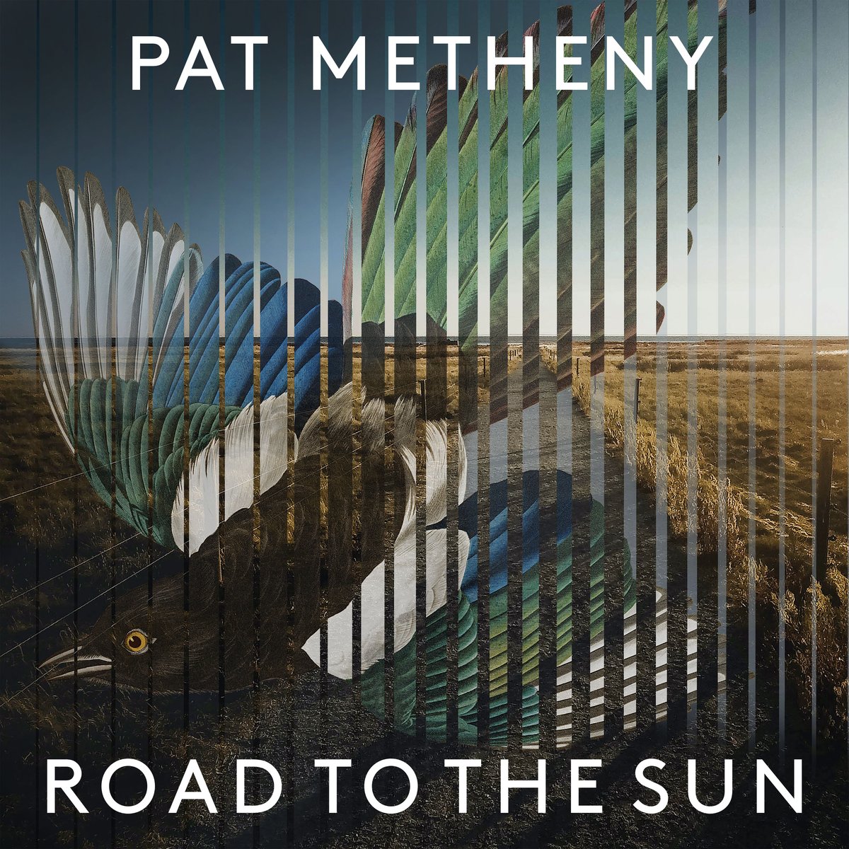PAT METHENY - Road to the Sun cover 