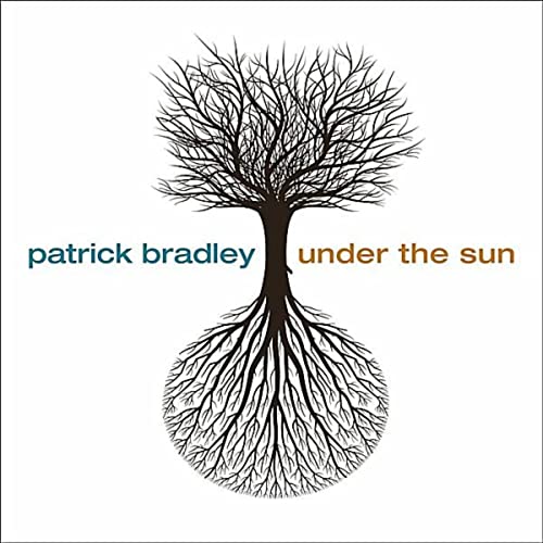 PATRICK BRADLEY - Under the Sun cover 