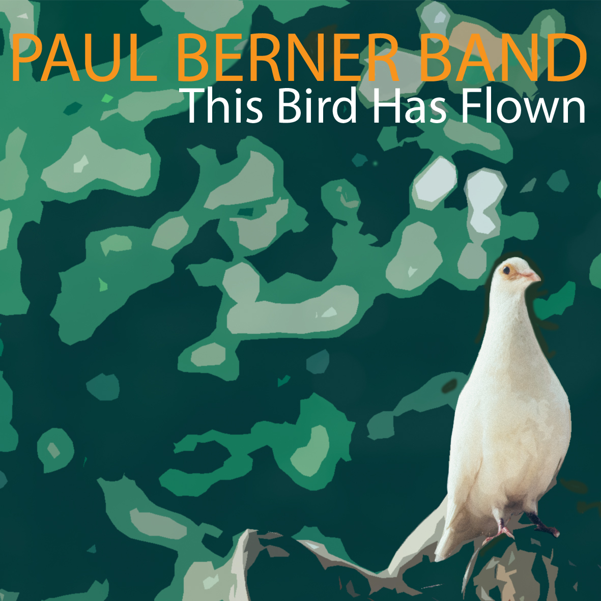 PAUL BERNER - This Bird has Flown cover 