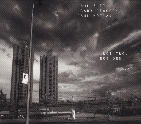 PAUL BLEY - Paul Bley / Gary Peacock / Paul Motian : Not Two, Not One cover 