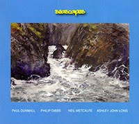 PAUL DUNMALL - Paul Dunmall / Philip Gibbs / Neil Metcalfe / Ashley John Long  :  Seascapes cover 