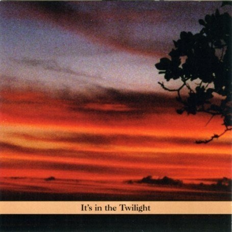 PAUL SHAPIRO - It's In The Twilight cover 