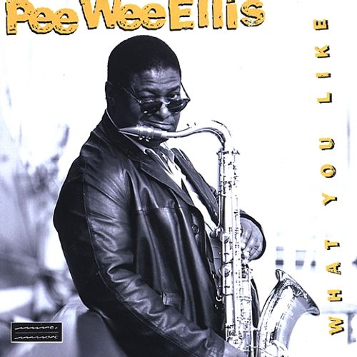 PEE WEE ELLIS - Pee Wee Ellis, The NDR Big Band ‎: What You Like cover 