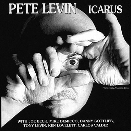 PETE LEVIN - Icarus cover 