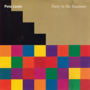 PETE LEVIN - Party In The Basement cover 