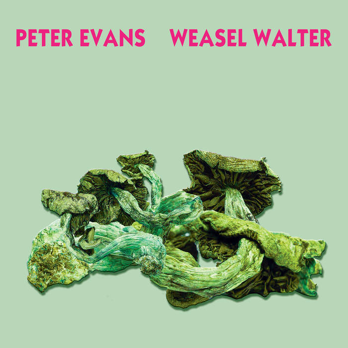 PETER EVANS - Peter Evans &amp; Weasel Walter : Poisonous cover 
