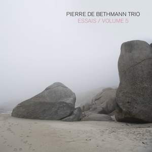 PIERRE DE BETHMANN - Essais, Volume 5 cover 