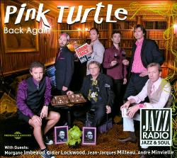 PINK TURTLE - Back Again cover 