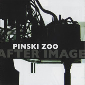 PINSKI ZOO - After Image - Live Concert Recordings 2002 - 2005 cover 