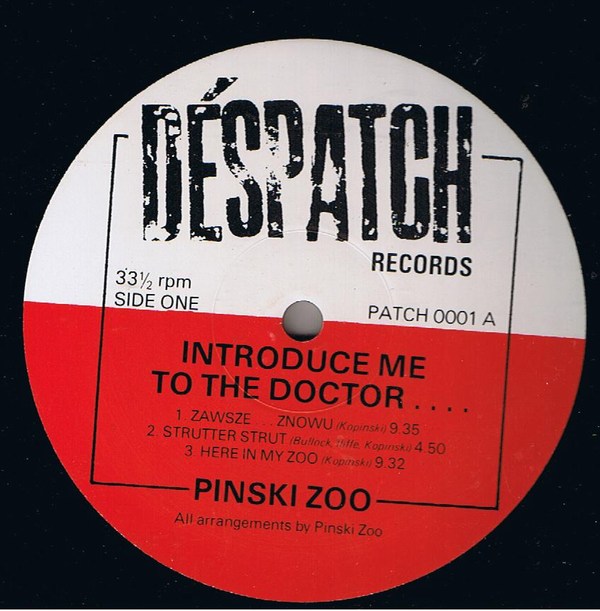 PINSKI ZOO - Introduce Me To The Doctor... cover 