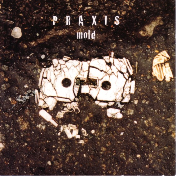 PRAXIS - Mold cover 