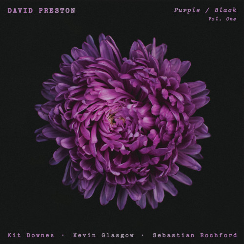 DAVID PRESTON - Purple / Black Vol. One cover 