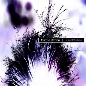 PURPLE CERISE EXPERIENCE - Purple Cerise Experience cover 