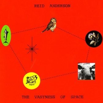 REID ANDERSON - The Vastness Of Space cover 