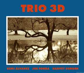 REMI ALVAREZ - Remi Alvarez/Joe Fonda/Harvey Sorgen: Trio 3D cover 